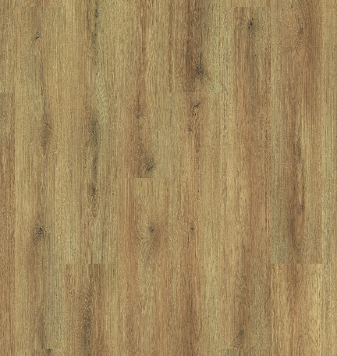Plank Austin 8-654