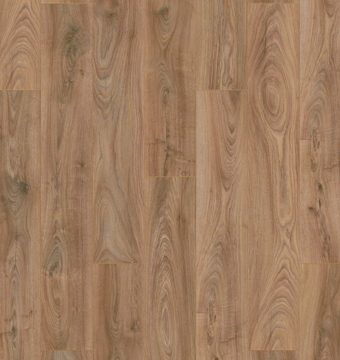 Plank Chicago 10-5947