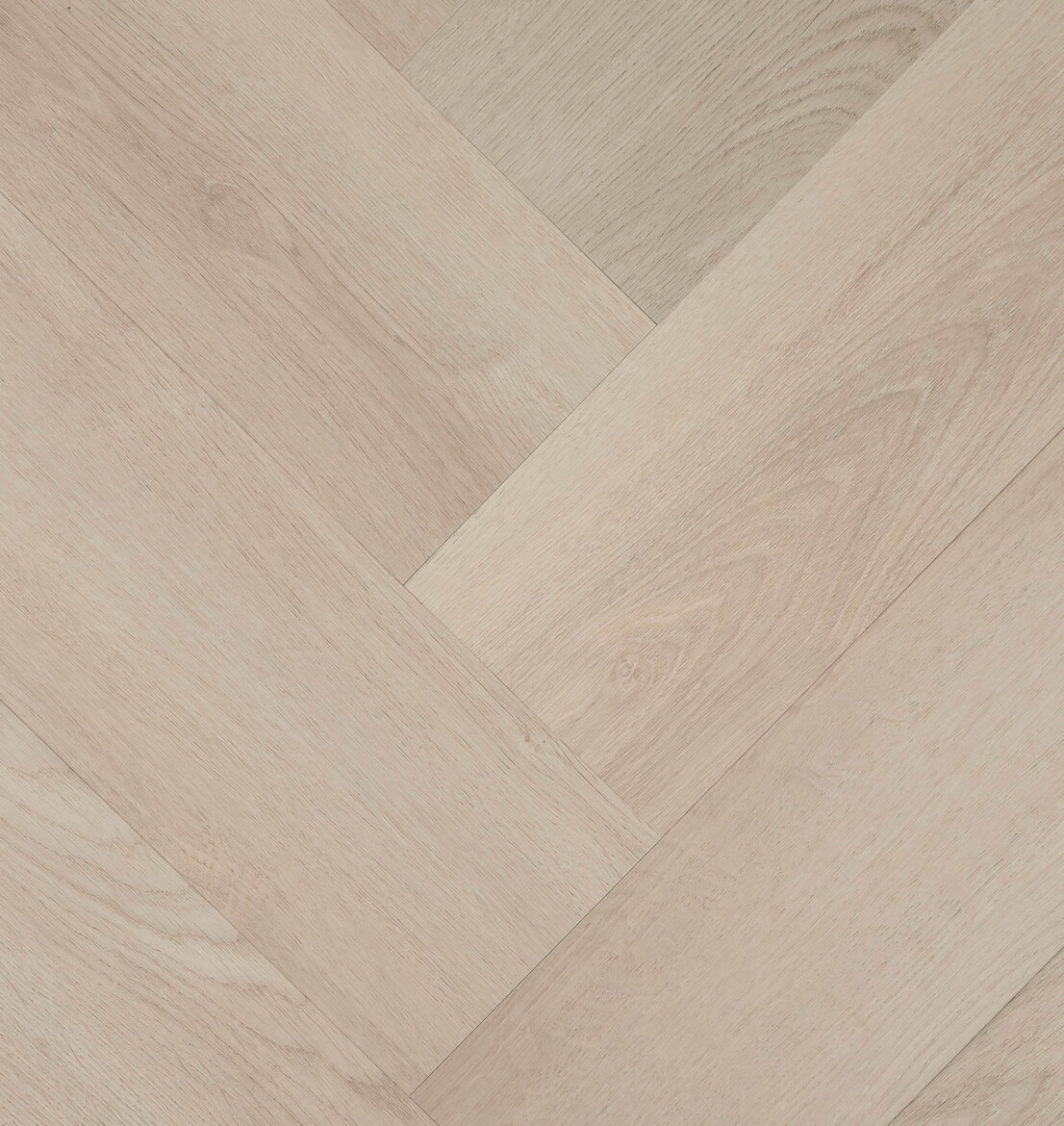 Clermont Visgraat XL 77823