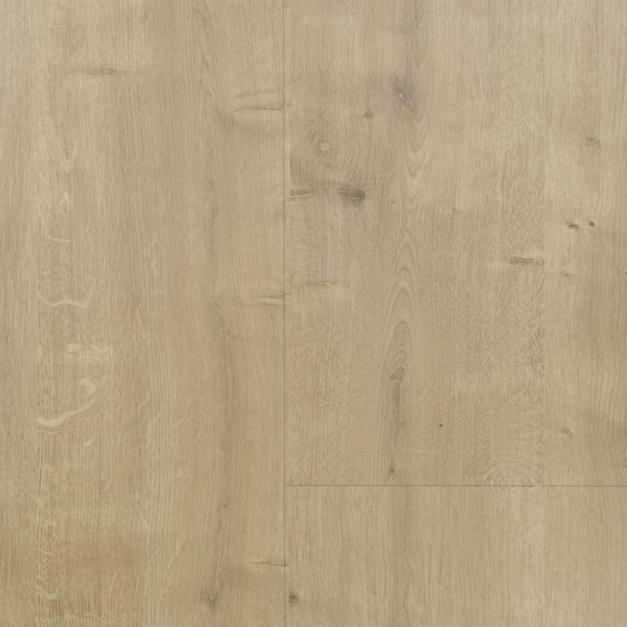 Spice beige grey
