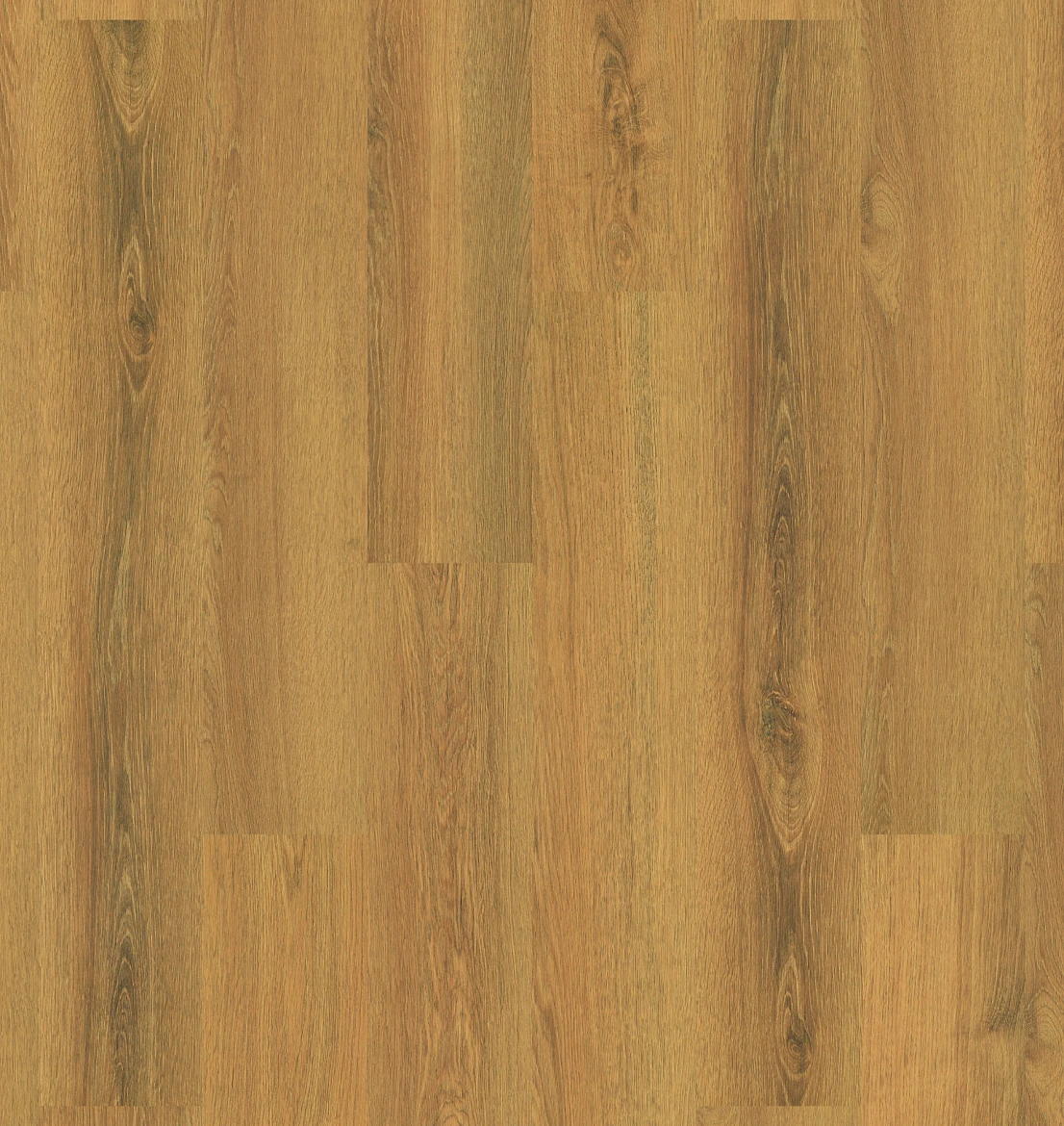 Plank Miami 8-649
