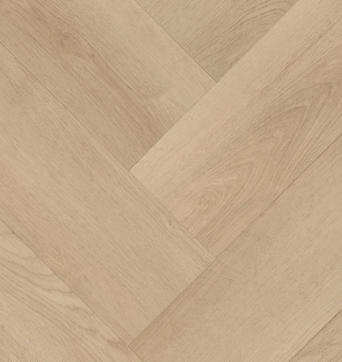 Clermont Visgraat XL 77825