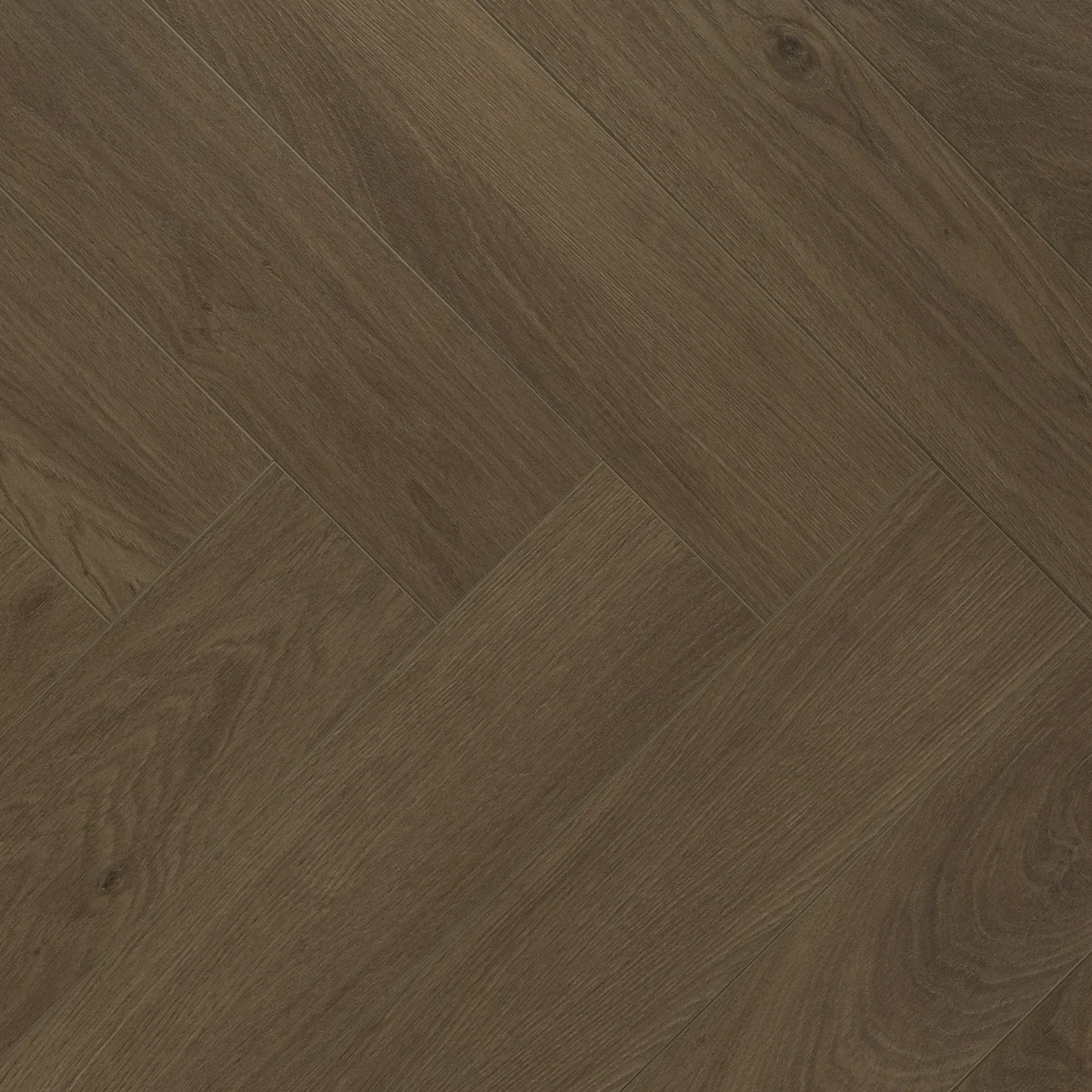 Cedar