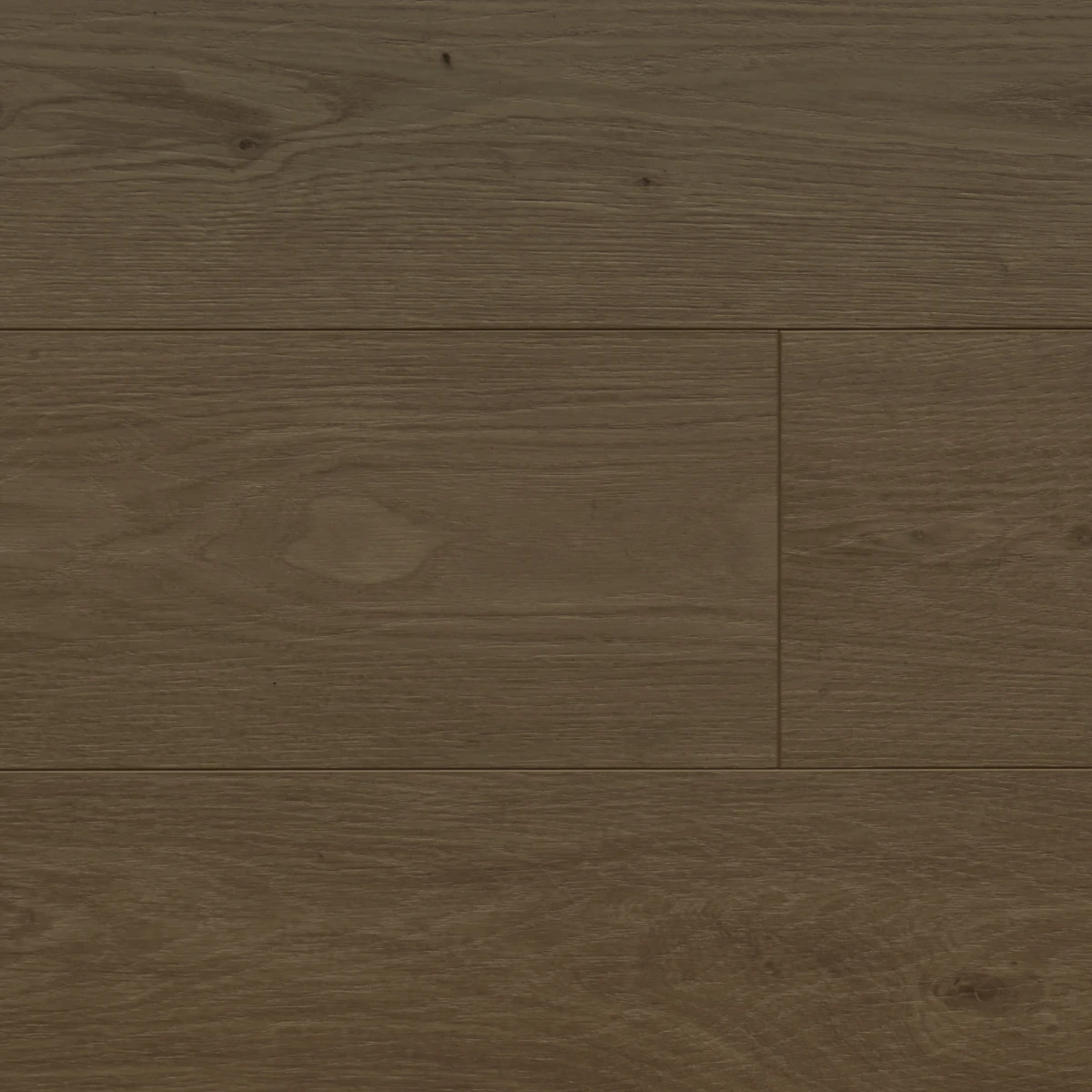 Cedar