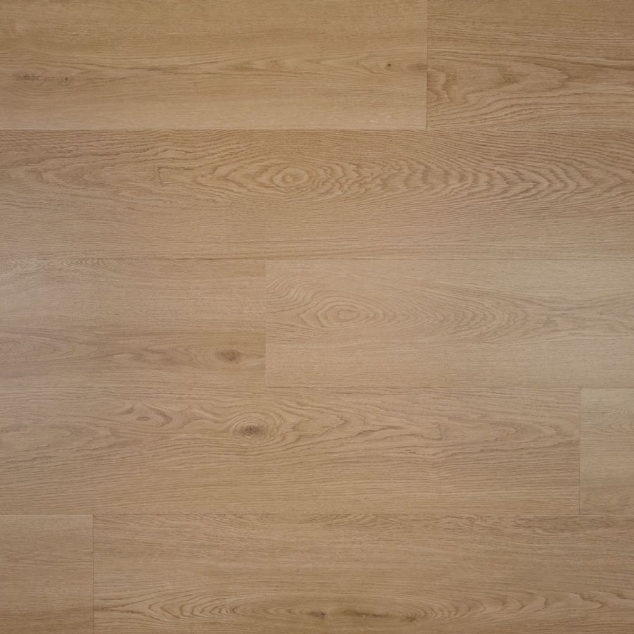 Lyra plank