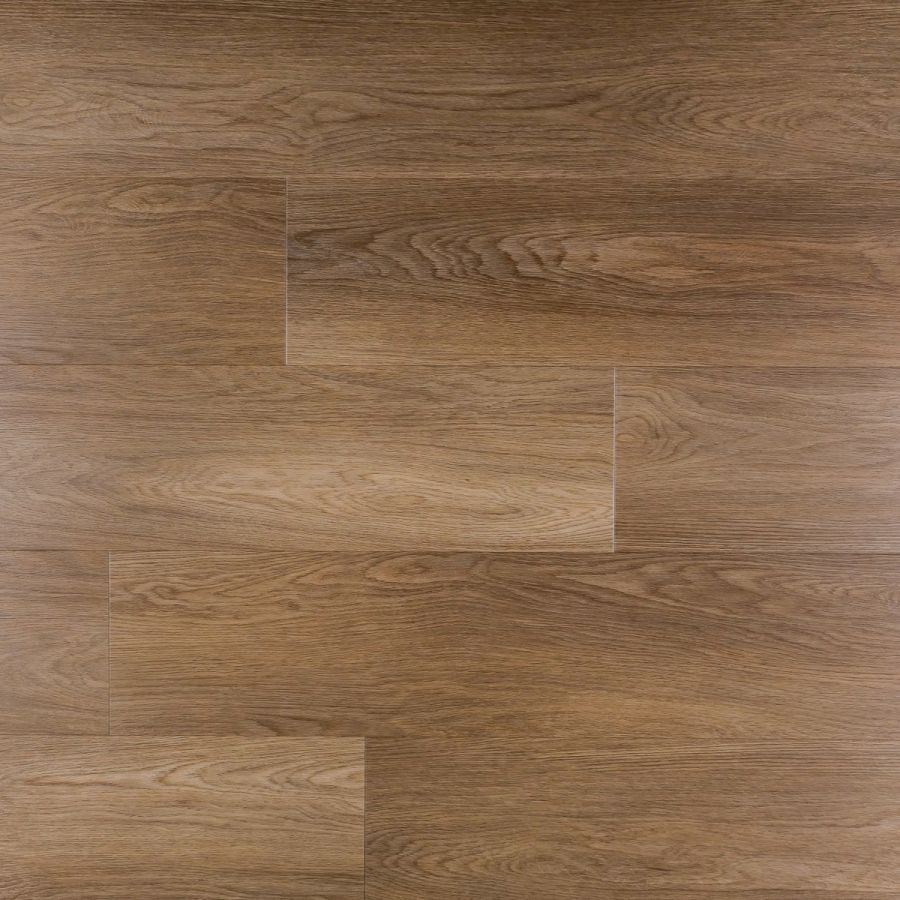 Savanna plank